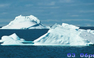 north pole, winter, north, photos, nature, white bears, penguins, seadogs, icebergs, cold, ocean, landscapes