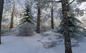 зима, природа, снег, лес, пейзаж, рождество, новый год, праздник