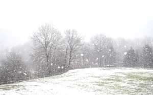 snowfall, snow, snowflakes, flakes, blizzard, icy, cold, white, winter, landscape, field, grasslands, nature, updraft, wintry, meadow