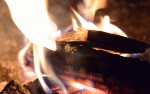 fire, campfire, burning wood, burn, wood, flame, heat, fireplace, firewood, logs