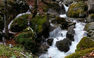 mountain, nature, snow, forest, river, spring, waterfall, creek, stream, water, rocks