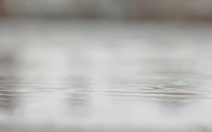 puddle, water, rain, raindrops, raining, nature, wet, outdoor, spring, weather