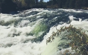 stream, rapids, river, flow, wilderness, water, nature, landscape, forest, scenery, summer