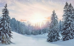 snow, mountain, landscape, nature, animation, winter, forest