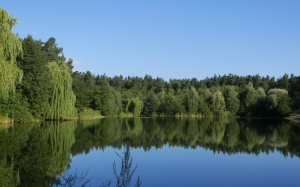 nature, summer, water, lake, pond, green, blue, trees, landscape, sky, silent