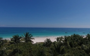 resort, sea, palm trees, drone flight, tropical, beach, ocean, summer, travel, island, nature, paradise, water, vacation, sand, landscape, blue