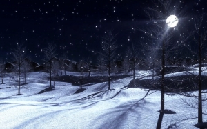 night, snowfall, winter, wintry, snow, snowy, forest, trees, landscape, cold, christmas, xmas, new year