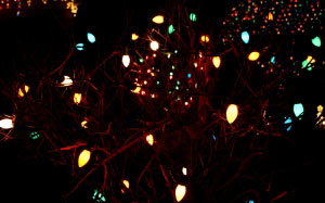 christmas lights, holiday, christmas, night