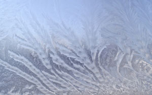 frost patterns, winter, frost