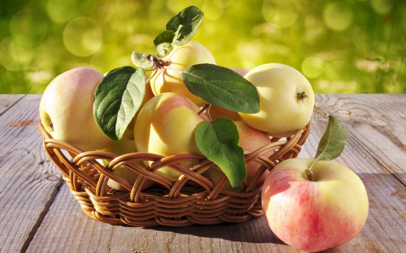 еда, фрукты, яблоки, урожай, природа, корзина с яблоками