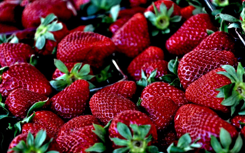 strawberry, macro, berries, berry