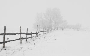 зима, природа, деревья, ограда, снег