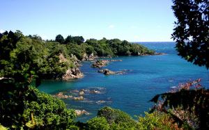 new zealand, whanarua, bay, islet, inlet, coastline, beach, rock, rocks, ocean, sea, water, waves, scenic, scenery, reef