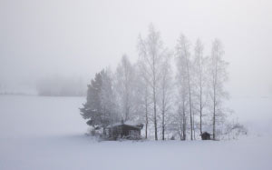 finland, snow, field, cold, cabin, trees, winter, landscape, white