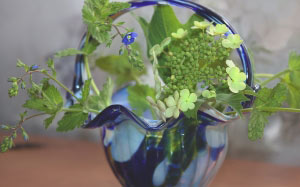 vase, viburnum, basket, flowers