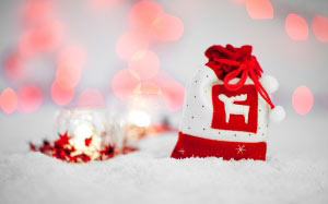 bag, celebration, christmas, concept, december, decoration, decorative, festive, gift, holiday, present, red, sack, season, seasonal, xmas, snow