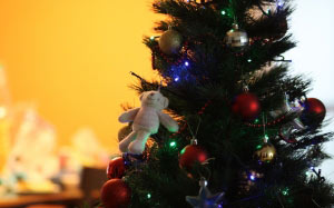 рождество, новый год, ёлка, ёлочные игрушки, ёлочные украшения, новогодние украшения