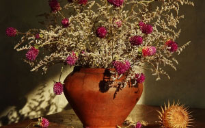 Gomphrena, Kermek, still life, autumn, dried flowers, flowers