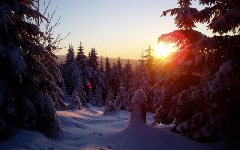 зима, снег, закат, вечер, лес, пейзаж