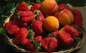 apricots, nature gifts, food, strawberries, cooking, summer, still life, nature, Tashkent, Uzbekistan, fruits, berries