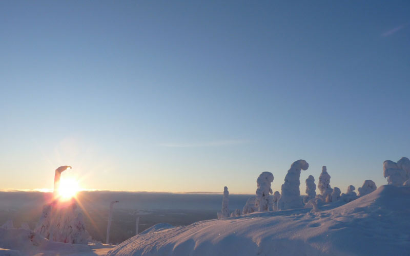 finland, lapland, snow landscape, snow, winter, setting sun