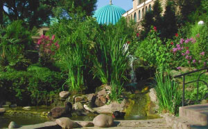 city, summer, plant, country, Tashkent, Uzbekistan, flora, flowers