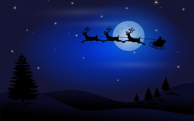new year, christmas, holidays, xmas, deer, night, Santa Claus