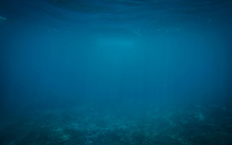 underwater, underwater, sea, ocean, water