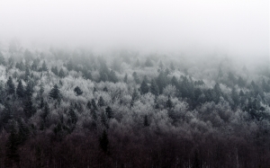winter landscape, mountain, forest, winter, snow, nature, landscape