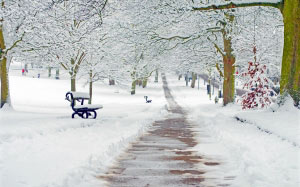 зима, парк, природа, снег, снежный