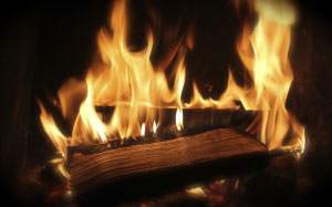 firewood, fire, fireplace, flames