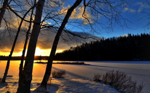 зимний пейзаж, зима, природа, закат, снег, лес, озеро, лёд