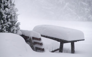wintry, snowy, winter, bench