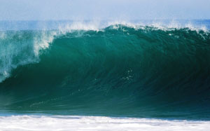 ocean, wave, sea, water, tide, surf