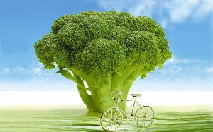 vegetables, broccoli, arboretum, spring, bicycle