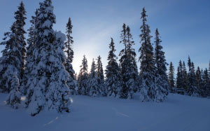 снег, зима, горы, норвегия, январь, природа