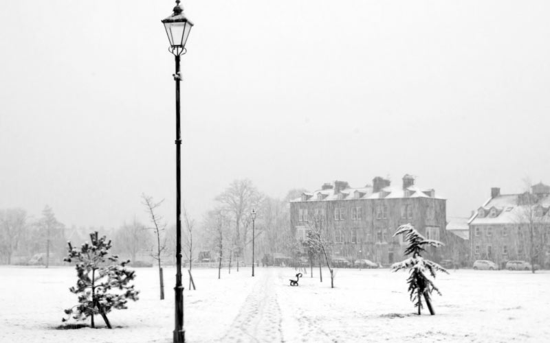 снегопад, зима, парк, церковь, снежинки, пейзаж, англия, январь