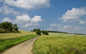 field, summer, sky, clouds, lane, landscape, path, nature