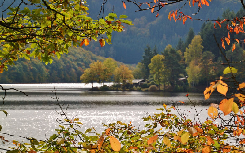 lake, waters, boat house, leaves, autumn, branches, october, fall, landscape, nature, colorful