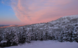 winter, trees, forest, woods, landscape, alaska, december, january, mountains, snow