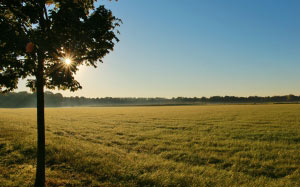 field, sunrise, landscape, rural, nature, arable, spring, meadow