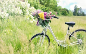 bicycle, meadow, flowers, grass, bike, spring, countryside, summer, nature
