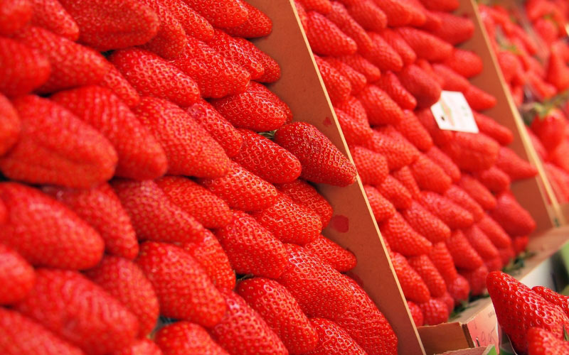 strawberries, market, berries, berry, strawberry, food, fruit, sweet, vitamin