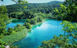 lake, paradise, croatia, plitvice, landscape, blue, green, nature, sky, summer, travel, resort, vacation, relax