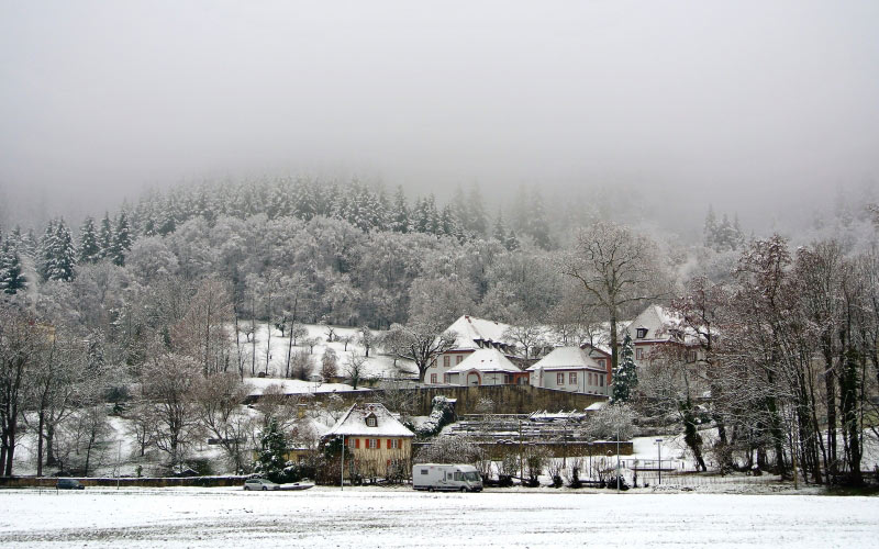 снег, колледж Роберта Боша, туман, морозный день, лес, германия, зима, холод, гора