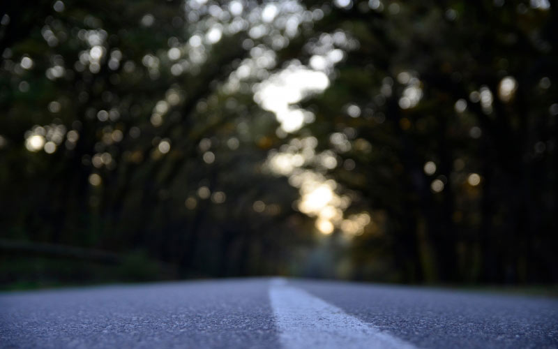 blur, morning, nature, dark, outdoors, road, trees, woods, forest