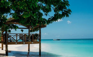 beach, idyllic, island, leisure, ocean, relaxation, resort, sand, sea, seashore, tropical, vacation, water, summer, landscape