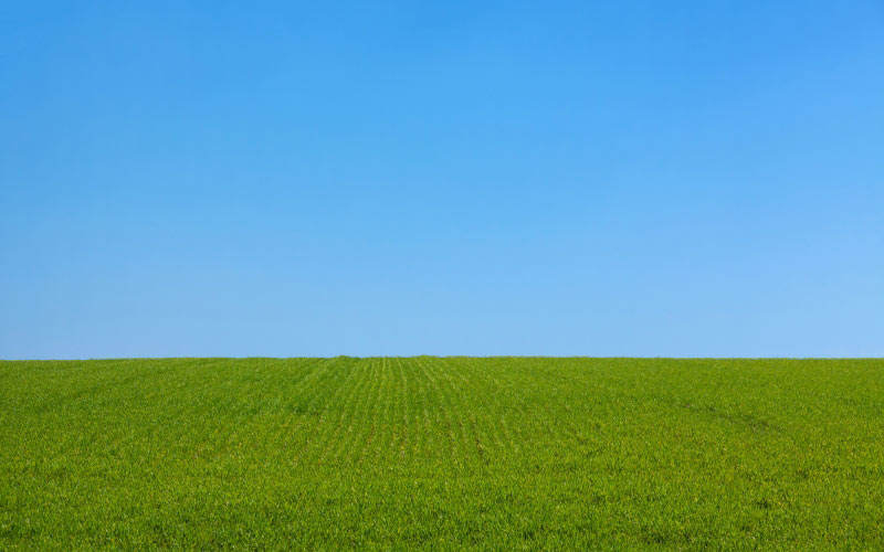 background, blue, clear, day, field, grass, green, landscape, lawn, nature, sky, spring, summer