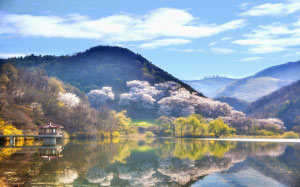 korea, landscape, nature, scenery, spring, lake, travels, reservoir, pier, gazebo