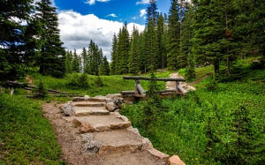colorado, rocky mountains, national park, landscape, scenic, nature, forest, trees, woods, country, valley, path, trail, meadow, steps